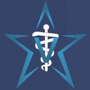 first coast veterinary specialists